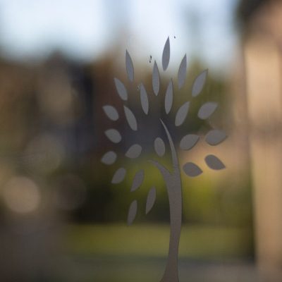 From one generation to the next: a family business story worth celebrating Image